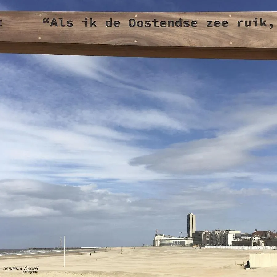 Knappe Studio Met Subliem Zeezicht! Ostende 0*,
